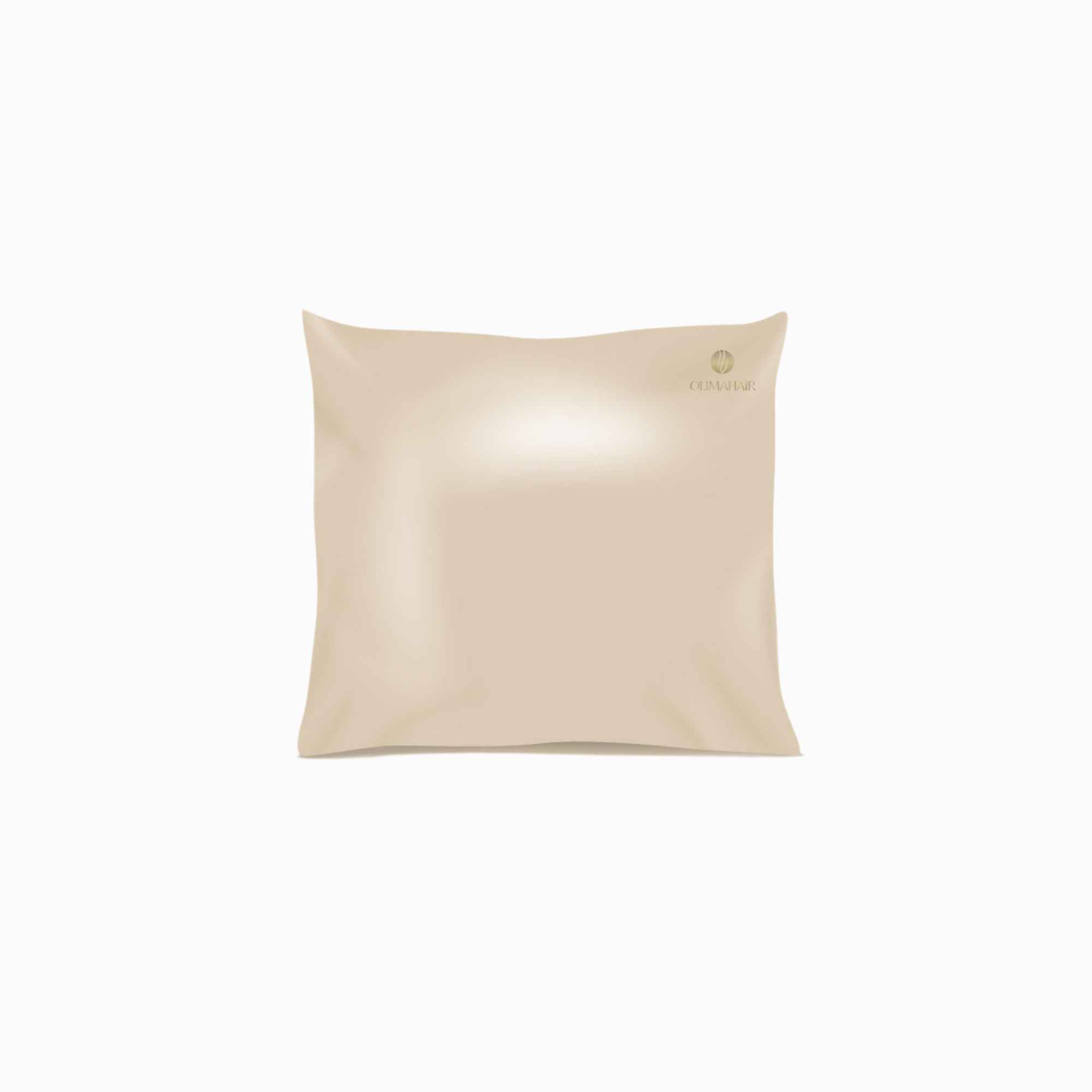 TAIE D'OREILLER EN SOIE SHINE 60 X 60