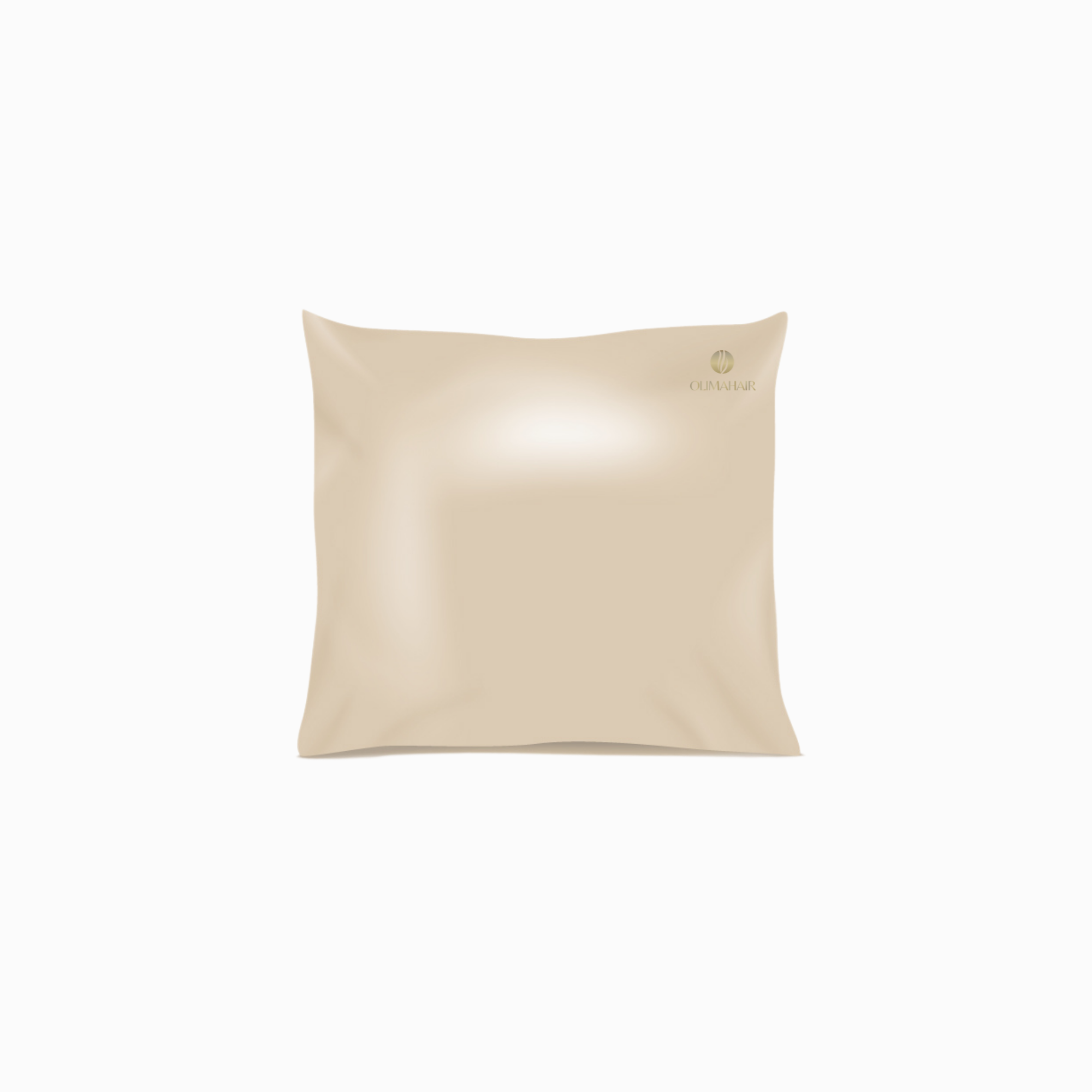 TAIE D'OREILLER EN SOIE SHINE 60 X 60