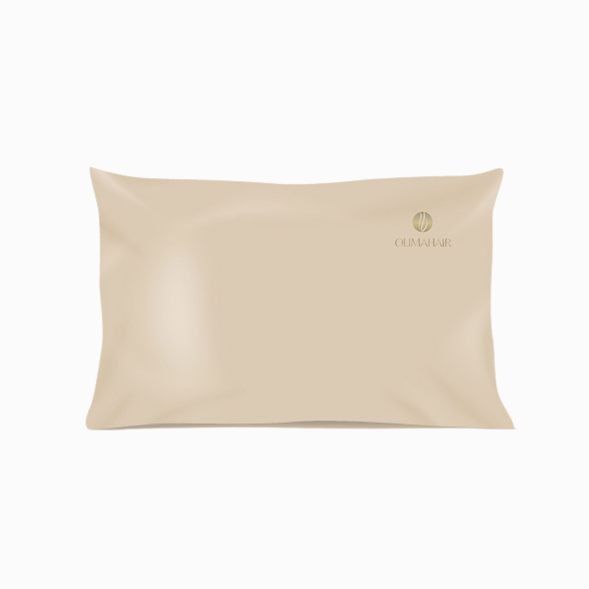 TAIE D'OREILLER EN SOIE SHINE 50 X 70